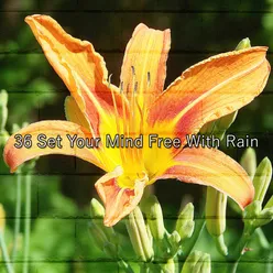 36 Set Your Mind Free With Rain