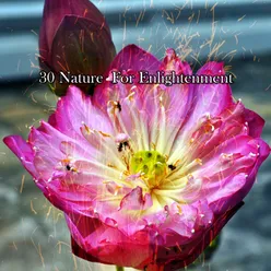 30 Nature For Enlightenment