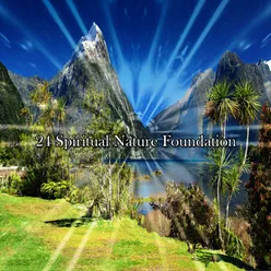 24 Spiritual Nature Foundation