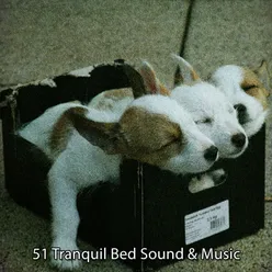 51 Tranquil Bed Sound & Music