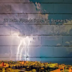 37 Rain Foundations For Research