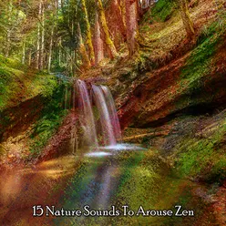 15 Nature Sounds To Arouse Zen