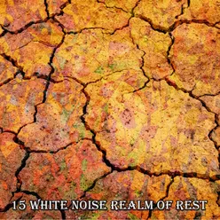 15 White Noise Realm Of Rest