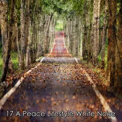 17 A Peace Lifestyle White Noise