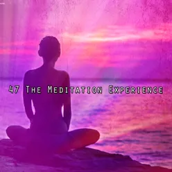 47 The Meditation Experience