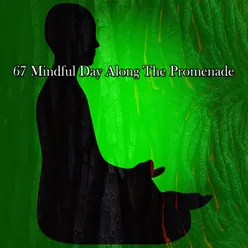 67 Mindful Day Along The Promenade