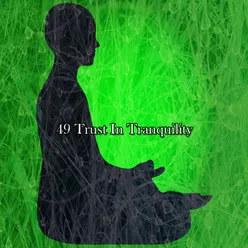 49 Trust In Tranquility