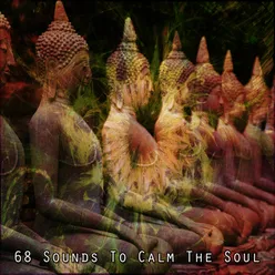 68 Sounds To Calm The Soul