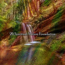 26 Spiritual Nature Foundation