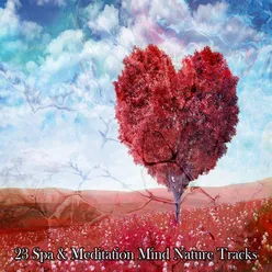 23 Spa & Meditation Mind Nature Tracks