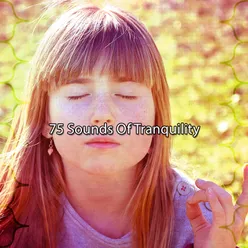 75 Sounds Of Tranquility