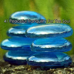 41 Peaceful Tranquility For The Soul