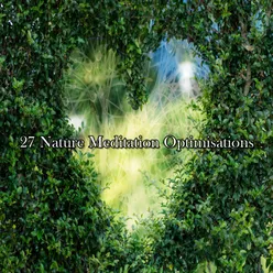 27 Nature Meditation Optimisations