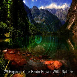 29 Expand Your Brain Power With Nature