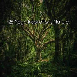 25 Yoga Inspirations Nature