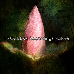 15 Outdoor Recordings Nature