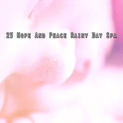 25 Hope And Peace Rainy Day Spa