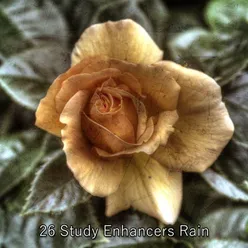 26 Study Enhancers Rain
