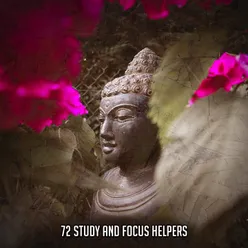 72 Study And Focus Helpers