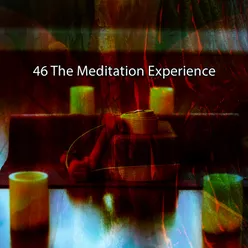 46 The Meditation Experience