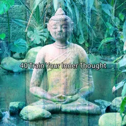 40 Train Your Inner Thought