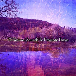 71 Natural Sounds To Promote Focus