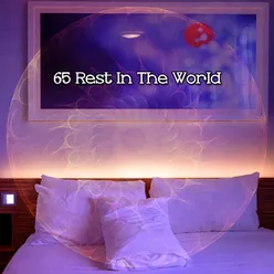 65 Rest In The World