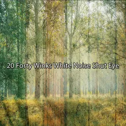 20 Forty Winks White Noise Shut Eye