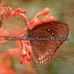 28 Mind Melting Natural Meditation