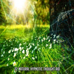 22 Natural Hypnotic Thought Aid