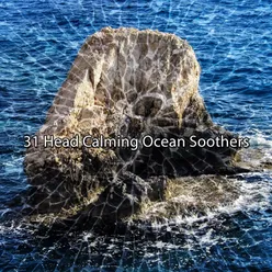 31 Head Calming Ocean Soothers