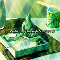 75 Mediation Through Meditation