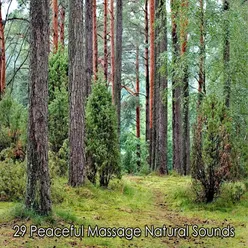 29 Peaceful Massage Natural Sounds