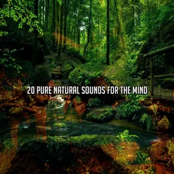 20 Pure Natural Sounds For The Mind