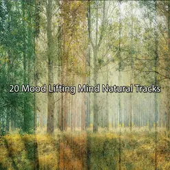 20 Mood Lifting Mind Natural Tracks