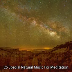 26 Special Natural Music For Meditation