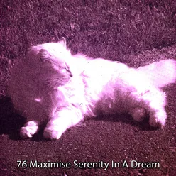 76 Maximise Serenity In A Dream