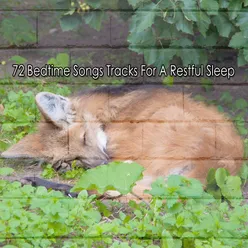 72 Bedtime Songs Tracks For A Restful Sleep