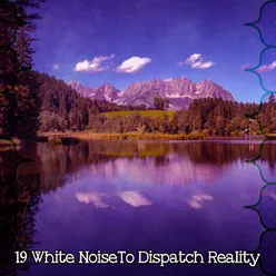 19 White NoiseTo Dispatch Reality