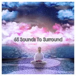 65 Sounds To Surround