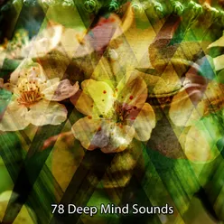 78 Deep Mind Sounds