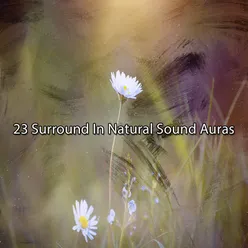 23 Surround In Natural Sound Auras