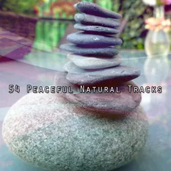 54 Peaceful Natural Tracks