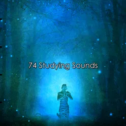 74 Studying Sounds