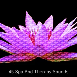 45 Spa And Therapy Sounds