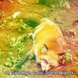 48 Goodbye Colic Silent Nights