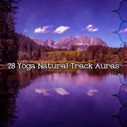 28 Yoga Natural Track Auras