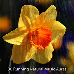 30 Running Natural Music Auras