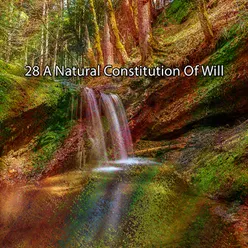 28 A Natural Constitution Of Will