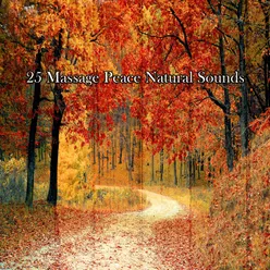 25 Massage Peace Natural Sounds